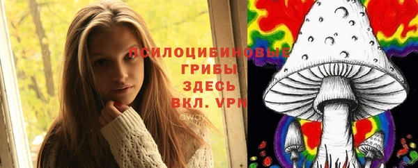 ПСИЛОЦИБИНОВЫЕ ГРИБЫ Алзамай