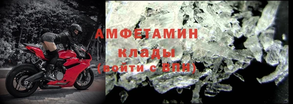 крисы Алексин
